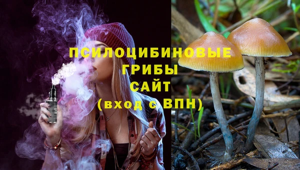 дмт Арсеньев