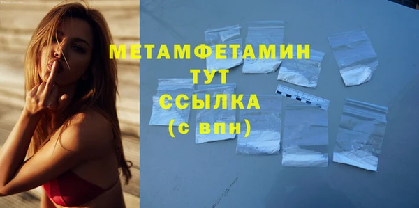 прущие грибы Баксан