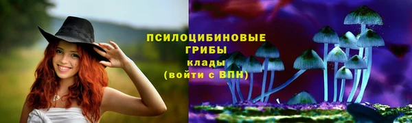 скорость Аркадак