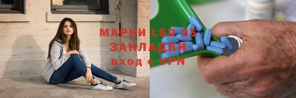 прущие грибы Баксан