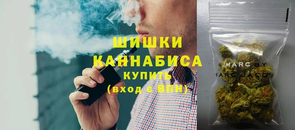 прущие грибы Баксан